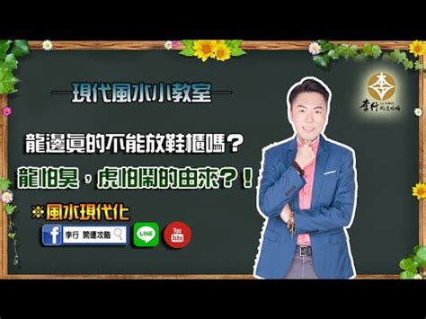 龍怕臭|【龍怕臭虎怕吵】龍怕臭？虎怕吵？揭開風水三大秘訣，事業輕鬆。